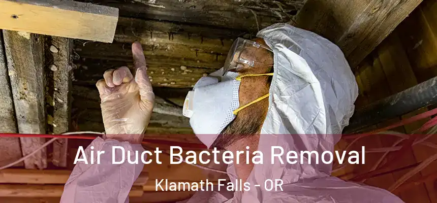 Air Duct Bacteria Removal Klamath Falls - OR