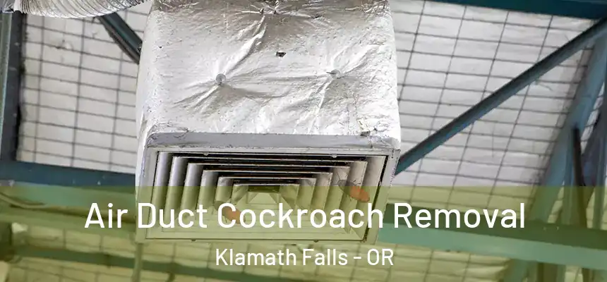  Air Duct Cockroach Removal Klamath Falls - OR