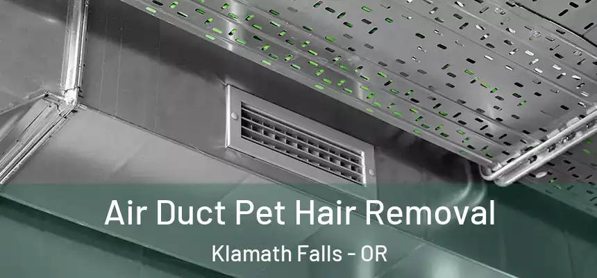  Air Duct Pet Hair Removal Klamath Falls - OR