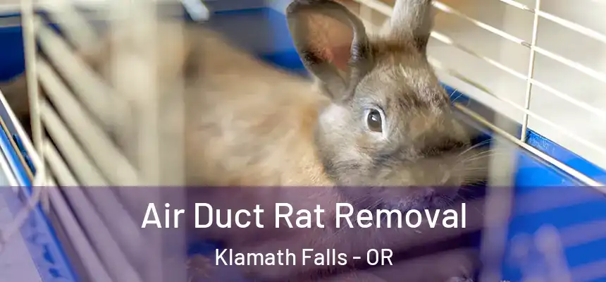 Air Duct Rat Removal Klamath Falls - OR