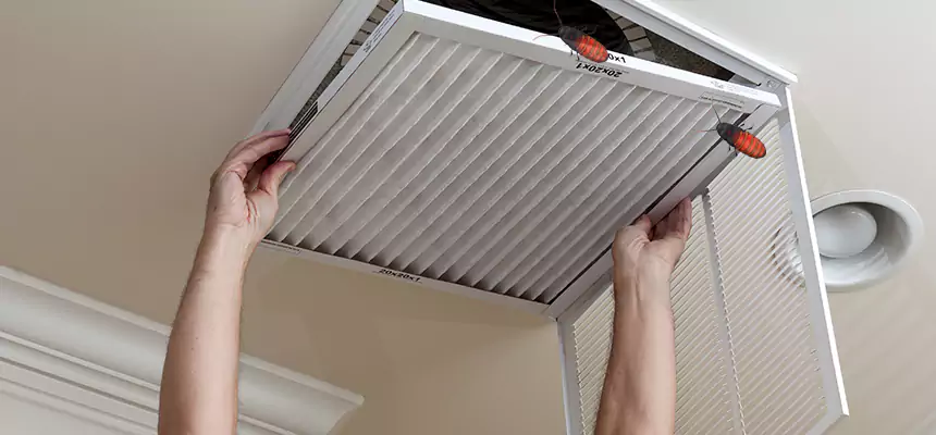 Our Insect Removal from Air Ducts Services in Klamath Falls, OR