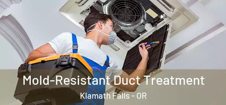  Mold-Resistant Duct Treatment Klamath Falls - OR