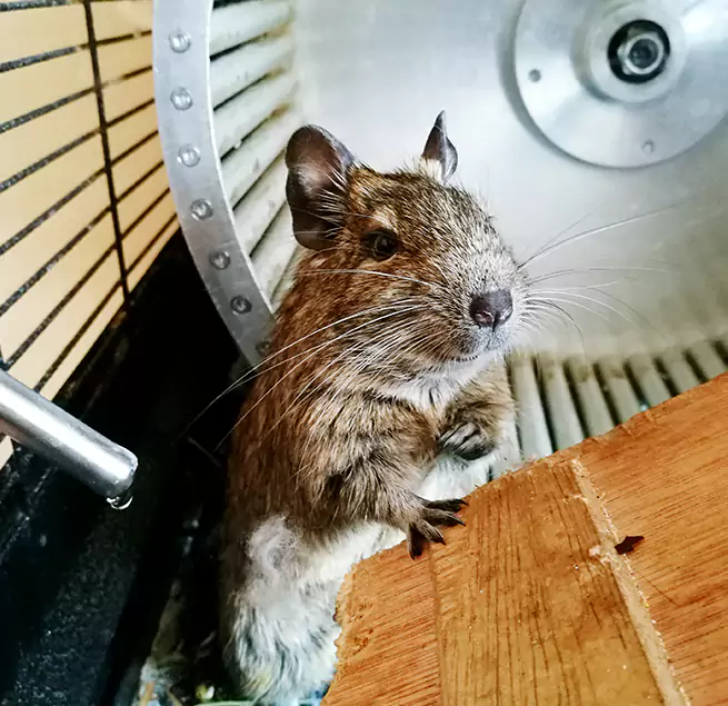 Why Homeowners & Businesses Trust Us Klamath Falls, OR